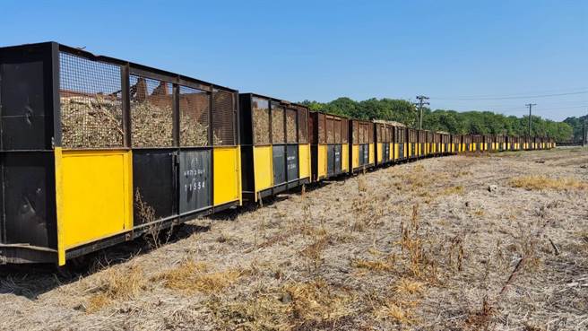 全台唯一还以五分车载运甘蔗的糖厂。（本报资料照片）