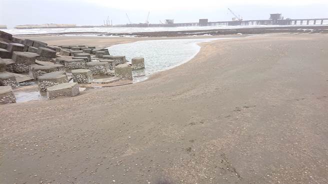 大潭藻礁G1区淤积。（潘忠政提供／蔡明亘桃园传真）