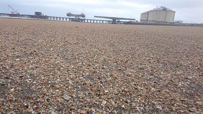 岸边沙滩上可见藻礁碎块。（潘忠政提供／蔡明亘桃园传真）