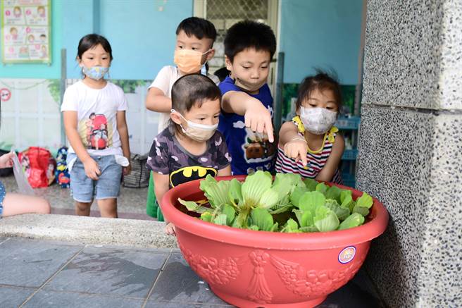 生态养殖盆吸引小朋友驻足观赏。(屏科大提供)