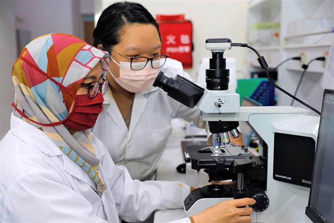 朝阳科大应用化学系利用废弃的葡萄藤制成生物炭，研发成为环保型的缓释肥料，达成绿色经济循环理念。（朝阳科大提供／陈淑芬台中传真）