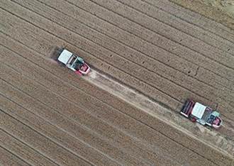 大陸「三夏」大規模小麥機收 展開3天逾1000萬畝