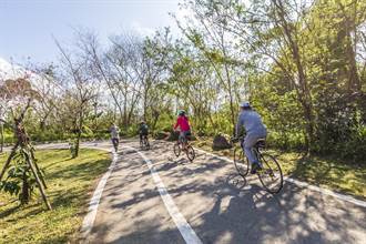 樂活單車 漫遊竹縣開騎 低碳旅遊感受在地風情