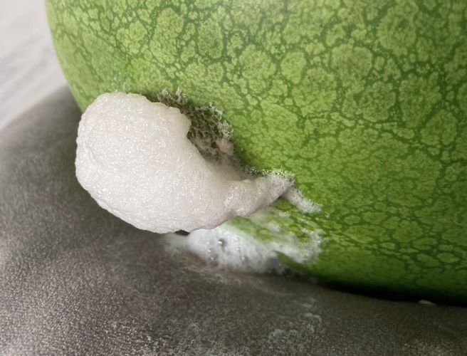 好市多西瓜「口吐白沫」，苦主急喊丢掉。（图／翻摄自Costco好市多 商品经验老实说）