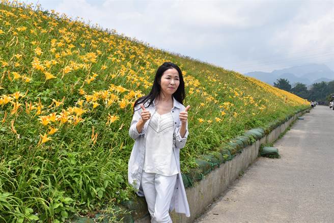苗栗县大湖乡静湖社区社寮角大湖溪畔堤防金针花盛开，县长夫人陈美琦专程前来打卡。（谢明俊摄）