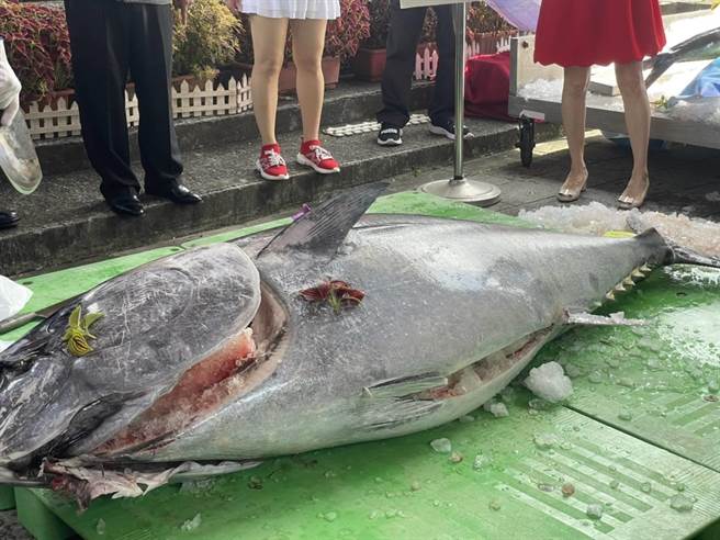 台北圆山花博农民市集周末举行「鲔娓道来-鱼你相遇南方澳」活动，让民眾来品嚐南方澳渔港黑鲔鱼、黄鳍鲔及鬼头刀等鲜美渔产品。（北市产发局提供／张芷瑜台北传真）