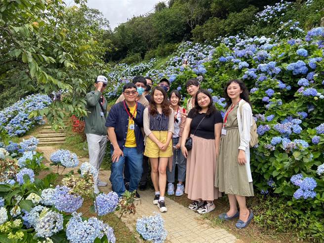 新北市民政局在万里高家绣球花田举办今年第三场单身联谊活动，最后共18对配对成功，配对率60％。（陈慰慈摄）