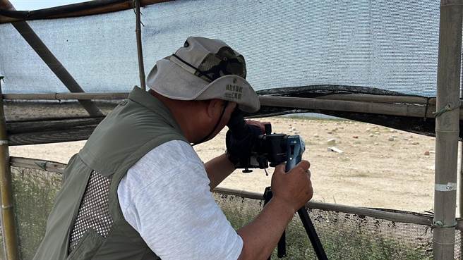 桃市府办理2023候鸟漫波啾一夏活动，3至25日规画每周例假日提供小燕鸥导览解说、DIY体验与闯关游戏等，带民眾深入认识小燕鸥生态。（蔡明亘摄）