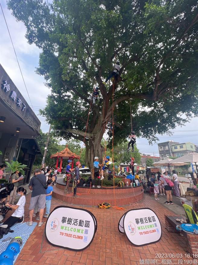 大溪神农文化祭活动精彩多元，现场提供攀树体验。（大溪区公所提供／蔡明亘桃园传真）