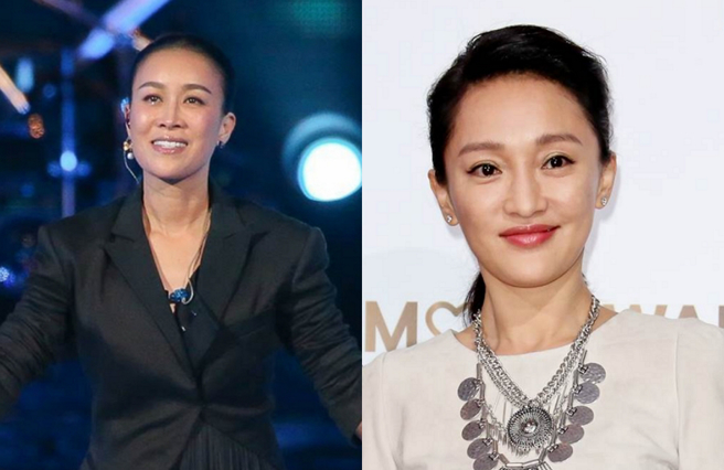 那英曾参加过两届浪姐，在《向往的生活》里劝周迅绝对不能去。（图／取自中时资料库）