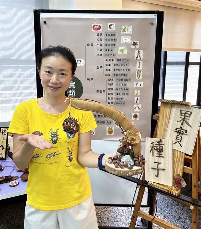 瑞丰国中老师周采璇搜集上万颗果实与种子。（高市教育局提供／杨舒婷高雄传真）