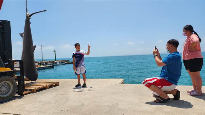 路过游客见状驻足拍照留念。（许逸民摄）