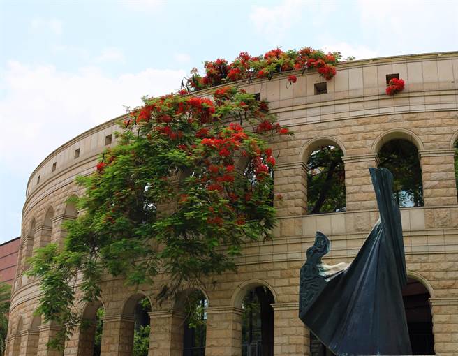 亚大的凤凰花绽放，搭配特色建筑，形成绝美拍摄景点。（亚大提供／陈淑芬台中传真）