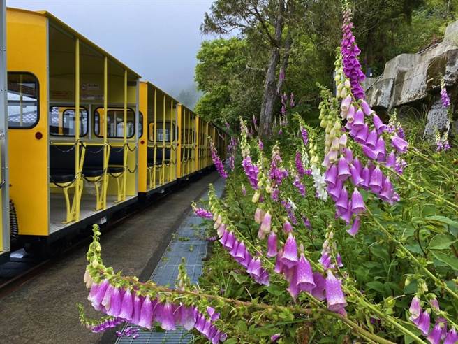 为营造友善乘车空间，每列车将附挂1节无障碍客车厢，因此每列车的售票座位由过去的90位调整为81位。（罗东林管处提供／吴佩蓉宜兰传真）
