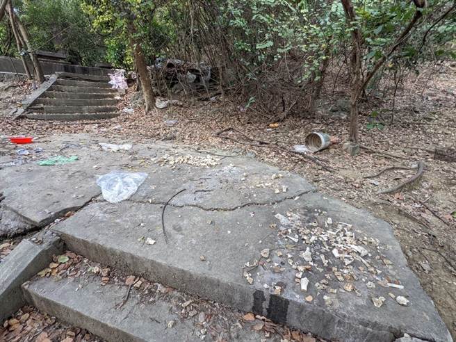 清华大学通识教育中心助理教授顏士清2021年起在寿山执行游荡犬调查，发现民眾喂食导致TNVR效果有限。（顏士清提供／袁庭尧高雄传真）