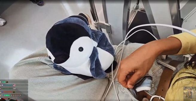 企鵝妹拉鍊沒拉。(圖/企鵝妹直播)