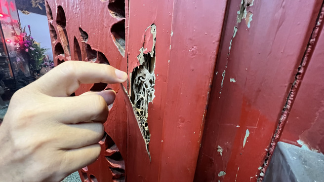 白蚁具有趋光性，会被屋内的光源吸引，而且家中的木头以及潮湿环境也会吸引牠们。(资料照 张毓翎摄）