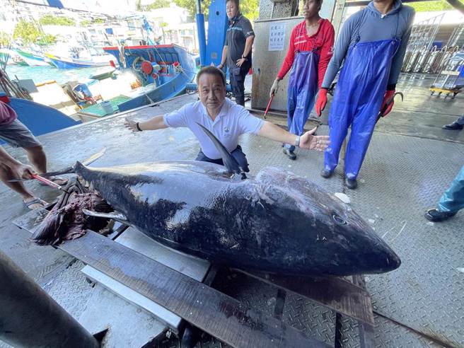 台东县议员许进荣与黑鲔鱼合照。（蔡旻妤摄）