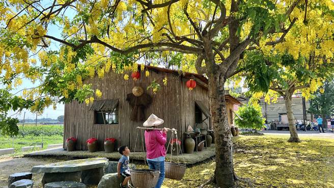 白河大山宫竹管厝是在地欣赏阿勃勒的热门景点。（张毓翎摄）