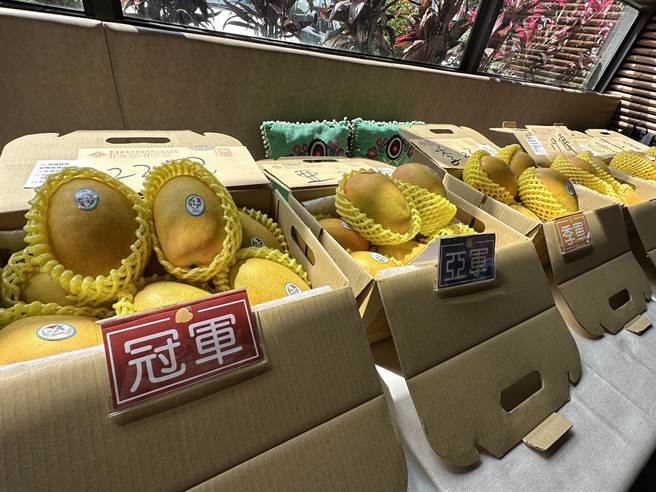 台东农产公司今天举办第3届夏雪芒果品质评鑑。（蔡旻妤摄）