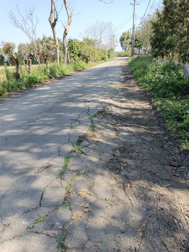 桃园市杨梅区上湖五路290巷周边农路待修缮。（郑淑方提供／蔡明亘桃园传真）