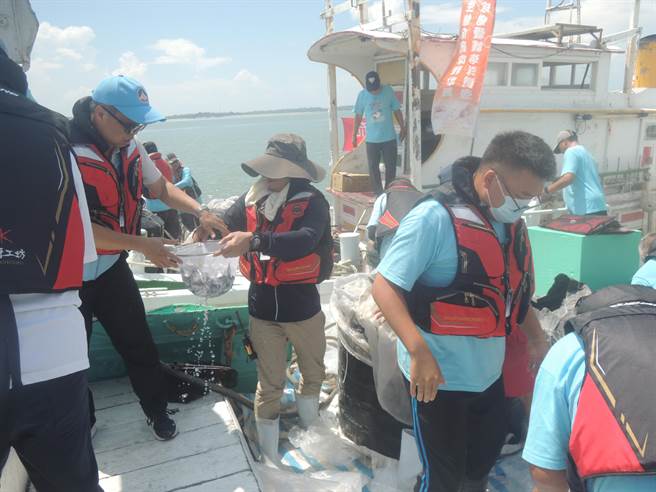 两岸联合放流经济鱼苗共约439万尾，期使金厦海域渔业资源得以永续发展。(图／金门县水试所提供)