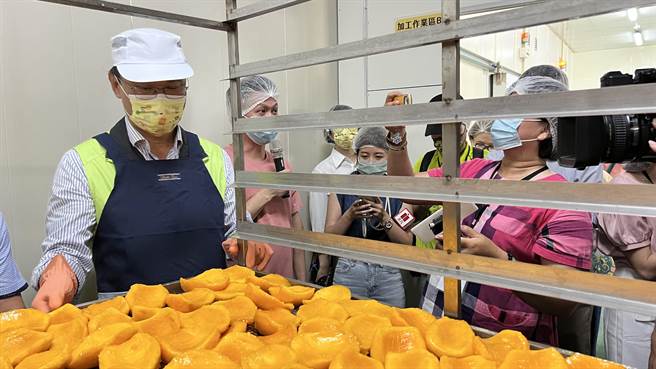 农委会主委陈吉仲（左一）体验从芒果去皮、裁切、翻面到烘烤等流程。（张毓翎摄）