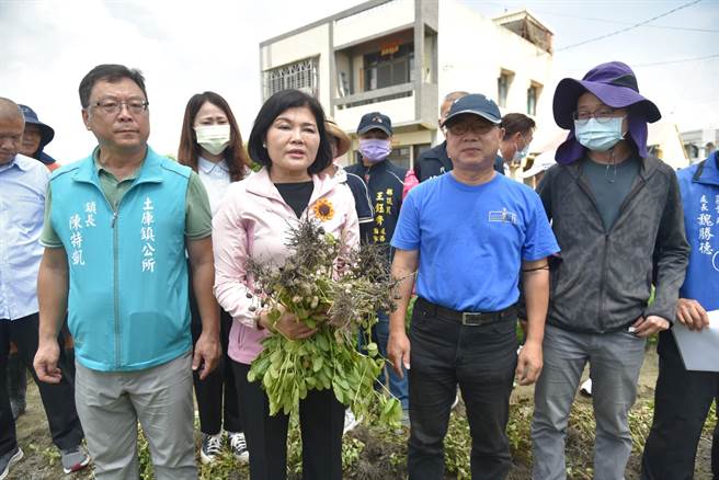云林县花生疑因天候影响欠收，云林县长张丽善（前左二）勘灾后争取中央救助。（云林县政府提供／张朝欣云林传真）
