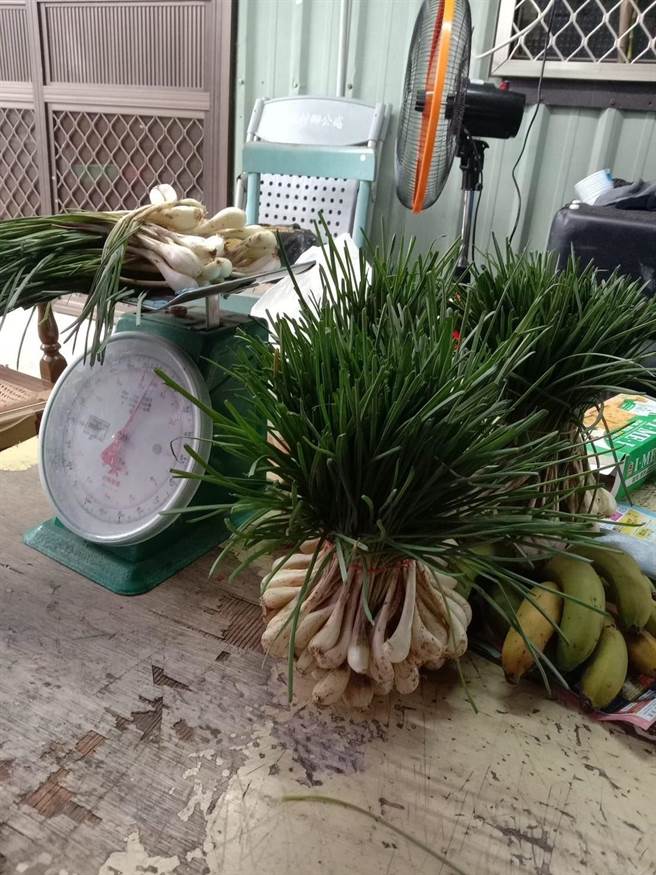 台东原乡部落特色作物「蕗荞」丰收，外型似葱蒜，营养价值高。（民眾提供／萧嘉蕙台东传真）