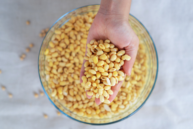 健康意识抬头，黄豆多元的营养价值被认证可超越肉类。(示意图/ Shutterstock )