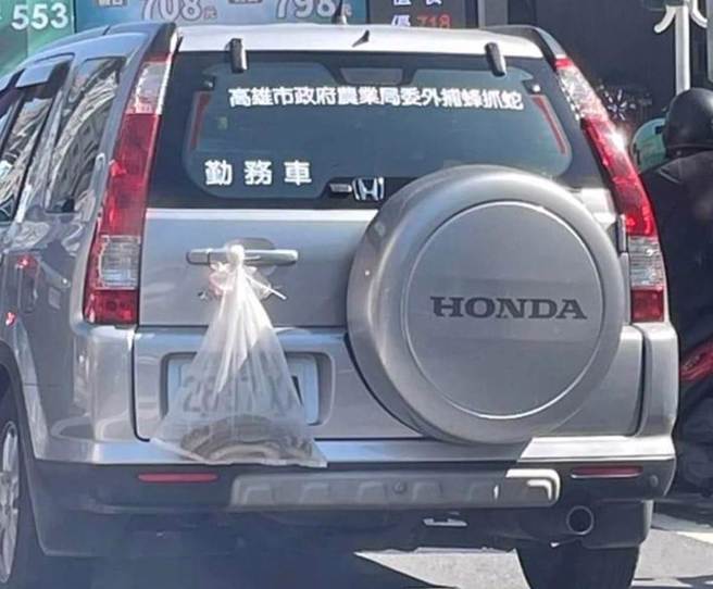 高雄休旅车「挂大蛇」吓路人，动保处出面说原委。(林雅惠翻摄)