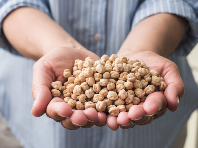 农粮署说明，莲子、雪莲子虽只差1字却完全不同。（图／Shutterstock）