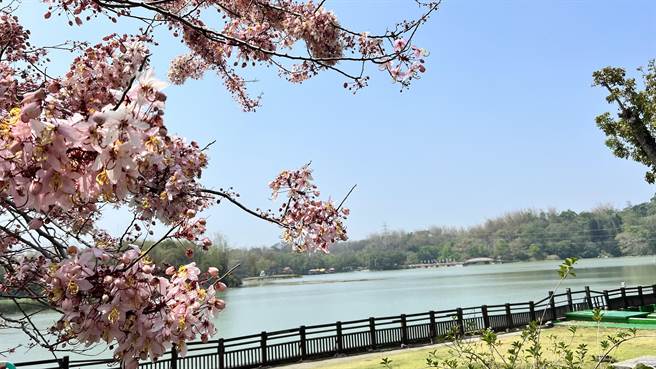 端午连假将至，台南市柳营尖山埤渡假村抢旅游商机，推出「身分证对对碰、对中506免门票」等多项活动。（张毓翎摄）