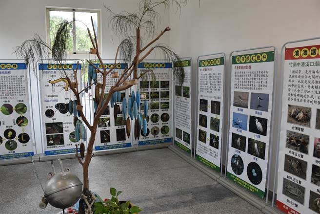 竹南镇塭内社区以生态保育闻名，社区争取将废弃塭内安检所改造成紫斑蝶生态馆，8日上午举行启用。（谢明俊摄）