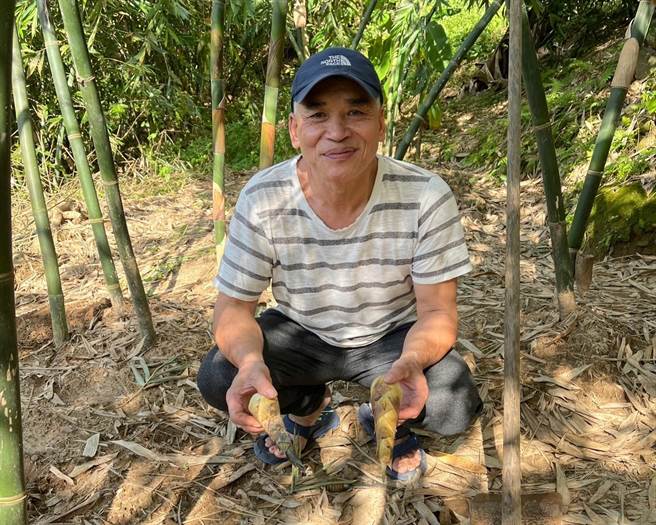 新北市五股区农会今举行「绿竹笋评鑑比赛暨创意料理竞赛」，吸引82位笋农参赛，最终由陈进桦、黄金燕夫妇俩摘下冠军。（农业局提供）