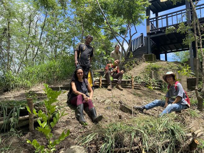 外来种银合欢影响台东鲤鱼山生态环境，台东林管处携手环境工作者小区域移除。（蔡旻妤摄）