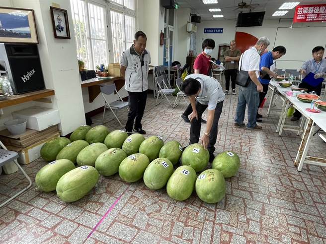 后龙镇大西瓜比赛8日在海埔社区活动中心登场。（后龙镇农会提供／谢明俊苗栗传真）