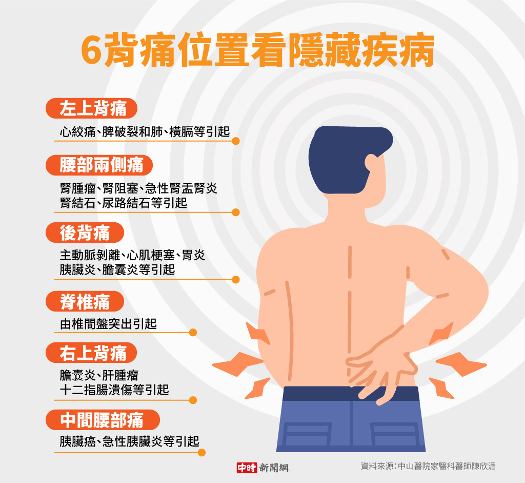 6背痛位置看隱藏疾病(製圖/陳友齡)