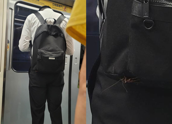 有网友分享在捷运车厢内拍到的一幕，网友一见是「蟑螂」全吓翻。（翻摄自脸书爆料公社）