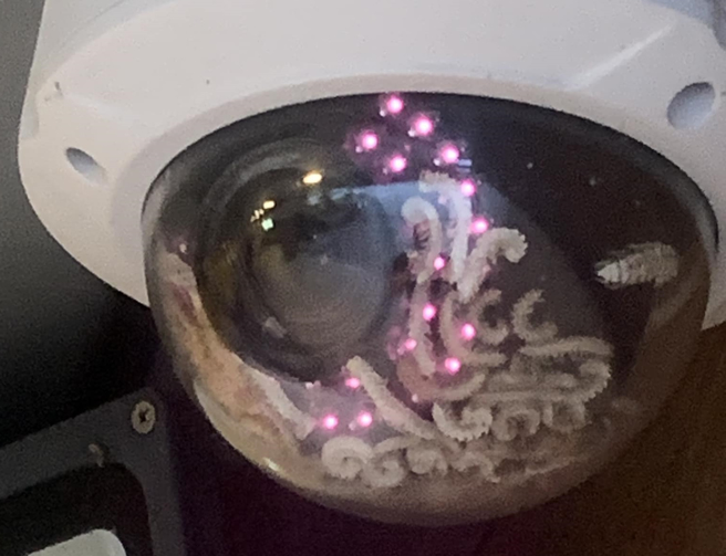 男子发现公司监视器布满「白色肥虫」，于是上网求助网友该怎么拆开清洁。（翻摄自脸书爆废公社二馆）