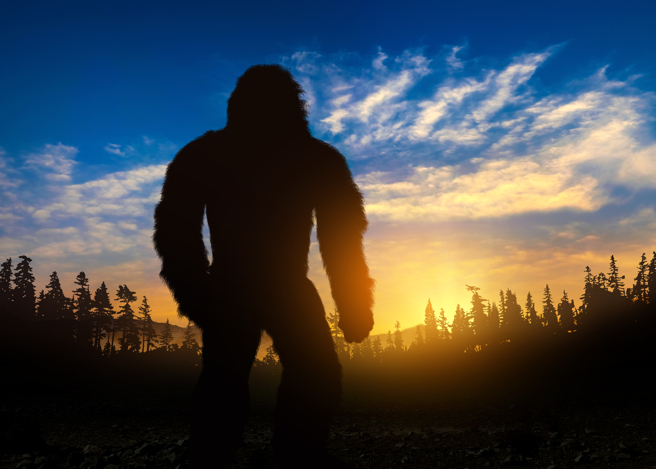 大陆一名饲主近日分享爱犬偷吃猫食的影片，没想到狗体型大又多毛，不少人都误以为看到「雪怪」。(示意图/达志影像)