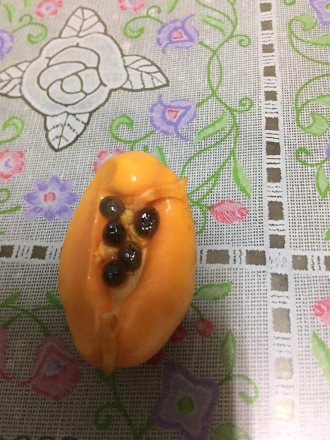 长在成熟木瓜里的小木瓜。（蔡姓民眾提供／孙英哲彰化报导）