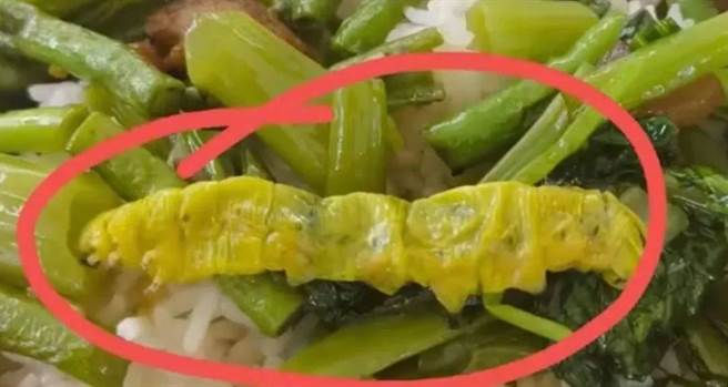 江西校园食堂鼠头鸭颈食安事件成立跨部门联合调查组。图为菜虫。（大陆央视）
