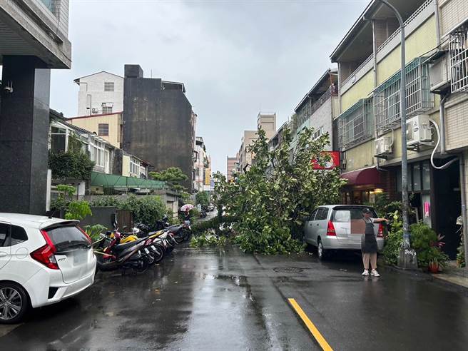 台中市11日下起大雨，北区梅亭街附近民宅种植的大树倒塌，压毁1部自小客车及1辆重机车。（民眾提供）