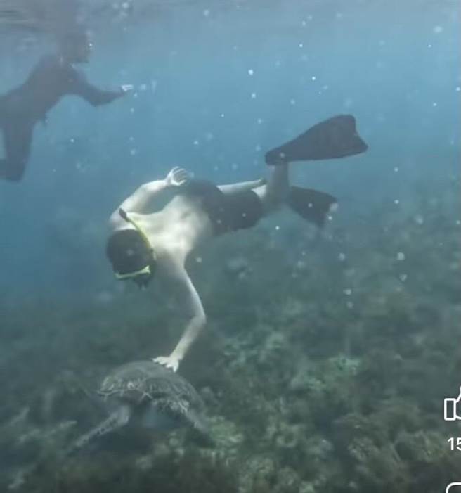 脸书社团「小琉球联盟」11日传出一段游客摸海龟的影片，掀起网友热议，直见该名潜水客一直伸手想摸海龟，最后还整只手放在海龟壳上。（翻摄脸书社团「小琉球联盟」／谢佳潾屏东传真）