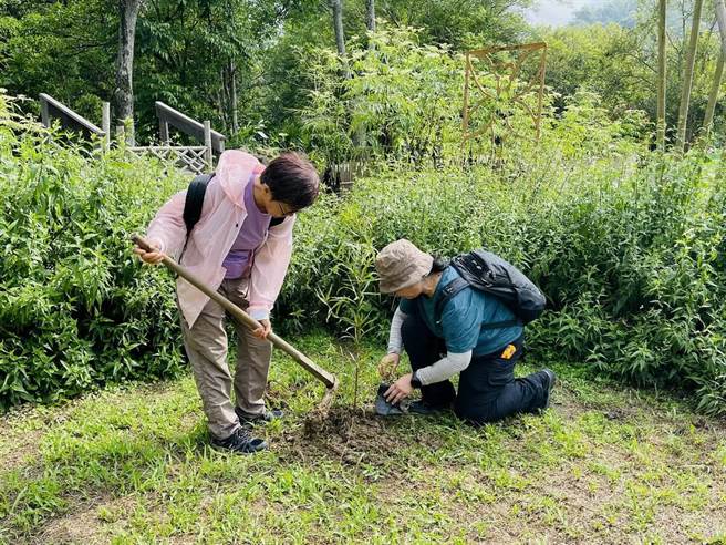 港、台学者及志工们进行蛙类多孔性栖地营造、剷除外来种福寿螺，并种植由南投林区管理处提供的13种546株乡土植物及蜜源植物树苗。（南投林管处提供／张亦惠南投传真）