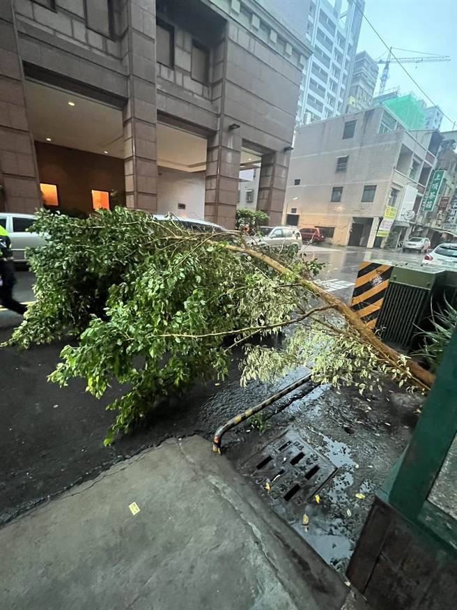 高雄市12号凌晨开始下起豪大雨，整座城市遭雨弹狂炸，而凤山区与苓雅区早上就传出淹水及路树倒塌灾情。（民眾提供／杨舒婷高雄传真）