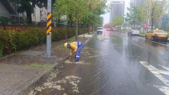 台南市政府派员清理道路侧沟异物，保持排水通畅。（台南市政府提供／程炳璋台南传真）