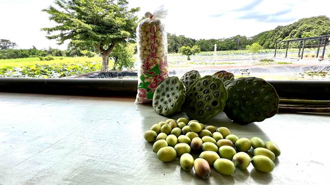 中医师简佩珊提到，在日常饮食中可多摄取一些清凉解暑的食品，也可以协助人体适应炎热的气候。（张毓翎摄）