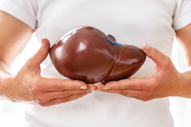 肝臟是个无声的器官，初期肝病没有明显的症状，一旦出现肝硬化等症状时，通常已晚期。(示意图/ Shutterstock )